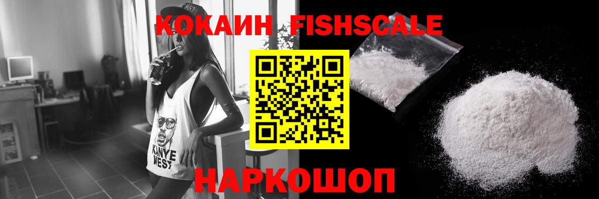 COCAIN Fish Scale  Вход с VPN  COCAIN  Кудымкар 