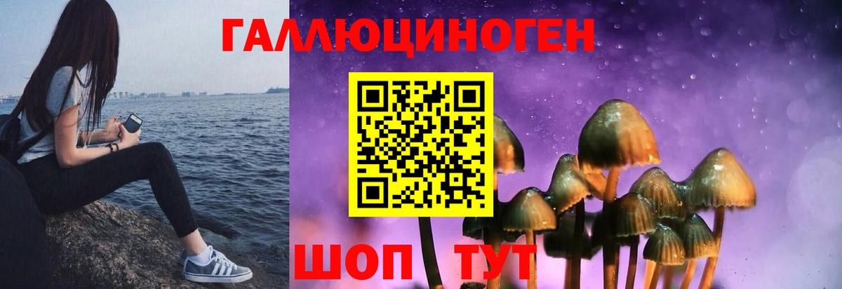 Кудымкар  Псилоцибиновые грибы Psilocybine cubensis  Вход с VPN 